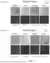 Fig. 05 - SPECIFIC DETECTION OF NUCLEIC ACID SEQUENCES USING ACTIVATE CLEAVE & COUNT (ACC) TECHNOLOGY