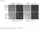 Fig. 06 - SPECIFIC DETECTION OF NUCLEIC ACID SEQUENCES USING ACTIVATE CLEAVE & COUNT (ACC) TECHNOLOGY