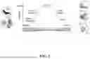 Fig. 02 - MARKERS OF ACTIVE HIV RESERVOIR