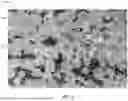 Fig. 07 - REINFORCED METAL MATRIX COMPOSITES AND METHODS OF MAKING THE SAME