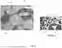 Fig. 08 - REINFORCED METAL MATRIX COMPOSITES AND METHODS OF MAKING THE SAME