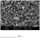 Fig. 02 - Die steel with a high thermal diffusion coefficient and its preparation methods