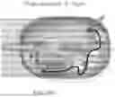 Fig. 14 - SYSTEM FOR ADVANCED PHYSICIAN TRAINING AND PATIENT SPECIFIC REHEARSALS