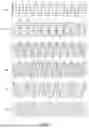 Fig. 08 - RESONANT SWITCHED CAPACITOR VOLTAGE CONVERTER AND CONTROL METHOD THEREOF