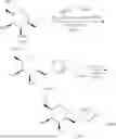 Fig. 744 - ASGPR-binding compounds for the degradation of extracellular proteins
