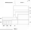 Fig. 04 - MEMORY ARRAY - PERIPHERY INTEGRATION WITH SPLIT BARRIER METAL STACK