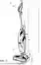 Fig. 02 - Surface cleaning apparatus