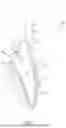 Fig. 02 - Surgical Constructs with Shuttling Loops and Methods of Tissue Fixation