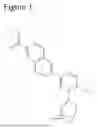 Fig. 02 - Repurposing Adapalene as a glucocorticoid receptor modulator to treat inflammatory diseases