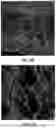Fig. 10 - Compositions Comprising Nucleic Acid Molecules and Methods of Treating ATPase-Mediated Diseases