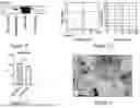 Fig. 04 - ENGINEERED EXOSOMES TO DETECT AND DEPLETE PRO-TUMORIGENIC MACROPHAGES