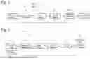 Fig. 02 - PERSONALIZED IDENTIFICATION DOCUMENT PROCESSING SYSTEMS AND METHODS