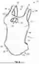 Fig. 08 - Floatation apparel system