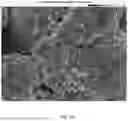 Fig. 03 - PROCESS FOR PRODUCING LITHIATED TRANSITION METAL OXIDES