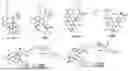 Fig. 01 - Compositions and Methods for Inhibiting Fibrosis, Inflammation and Cancer