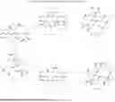 Fig. 49 - Compositions and Methods for Inhibiting Fibrosis, Inflammation and Cancer