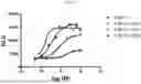 Fig. 63 - FGF21 Mutants and Uses Thereof