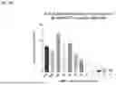 Fig. 53 - T-cell modulatory multimeric polypeptides and methods of use thereof