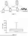 Fig. 02 - Chimeric Antigen Receptor