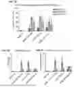 Fig. 07 - Chimeric Antigen Receptor