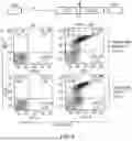 Fig. 09 - Chimeric Antigen Receptor