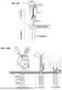 Fig. 10 - Chimeric Antigen Receptor