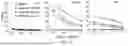 Fig. 12 - Chimeric Antigen Receptor