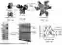 Fig. 02 - DISPLAY OF PEPTIDE-MHC (PMHC) ON MULTIMERIC PROTEIN SCAFFOLDS AND USES THEREOF