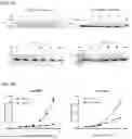 Fig. 04 - CXCL10 BINDING PROTEINS AND USES THEREOF
