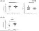 Fig. 06 - CXCL10 BINDING PROTEINS AND USES THEREOF