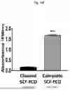Fig. 06 - ANTI-STEM CELL FACTOR ANTIBODIES AND METHODS OF BLOCKING THE INTERACTION BETWEEN SCF AND c-KIT