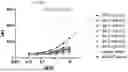 Fig. 14 - ANTI-STEM CELL FACTOR ANTIBODIES AND METHODS OF BLOCKING THE INTERACTION BETWEEN SCF AND c-KIT