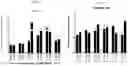 Fig. 19 - ANTI-STEM CELL FACTOR ANTIBODIES AND METHODS OF BLOCKING THE INTERACTION BETWEEN SCF AND c-KIT