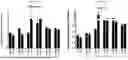 Fig. 20 - ANTI-STEM CELL FACTOR ANTIBODIES AND METHODS OF BLOCKING THE INTERACTION BETWEEN SCF AND c-KIT