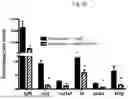 Fig. 35 - ANTI-STEM CELL FACTOR ANTIBODIES AND METHODS OF BLOCKING THE INTERACTION BETWEEN SCF AND c-KIT
