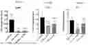 Fig. 40 - ANTI-STEM CELL FACTOR ANTIBODIES AND METHODS OF BLOCKING THE INTERACTION BETWEEN SCF AND c-KIT