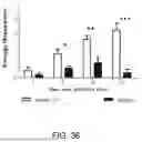 Fig. 44 - Methods for Treating Conditions Associated with MASP-2 Dependent Complement Activation