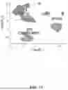 Fig. 06 - CORTICAL NEURAL PROGENITOR CELLS FROM IPSCS