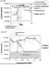 Fig. 04 - COMPOSITIONS AND METHODS FOR MODULATING GROWTH OF A GENETICALLY MODIFIED GUT BACTERIAL CELL