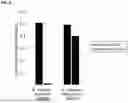 Fig. 08 - COMPOSITIONS AND METHODS FOR MODULATING GROWTH OF A GENETICALLY MODIFIED GUT BACTERIAL CELL