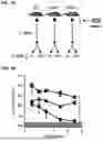 Fig. 09 - COMPOSITIONS AND METHODS FOR MODULATING GROWTH OF A GENETICALLY MODIFIED GUT BACTERIAL CELL