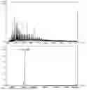 Fig. 10 - MODIFIED L-ASPARAGINASE
