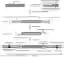 Fig. 01 - METHOD FOR CONSTRUCTING MULTIPLEX PCR LIBRARY FOR HIGH-THROUGHPUT TARGETED SEQUENCING