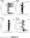 Fig. 04 - VARIABLE EPITOPE LIBRARY COMPOSITIONS AND METHODS OF THERAPEUTIC AND PROPHYLACTIC USE