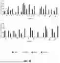 Fig. 07 - VARIABLE EPITOPE LIBRARY COMPOSITIONS AND METHODS OF THERAPEUTIC AND PROPHYLACTIC USE