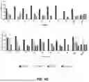 Fig. 08 - VARIABLE EPITOPE LIBRARY COMPOSITIONS AND METHODS OF THERAPEUTIC AND PROPHYLACTIC USE