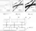Fig. 11 - METHOD OF PREDICTING ROAD ATTRIBUTERS, DATA PROCESSING SYSTEM AND COMPUTER EXECUTABLE CODE