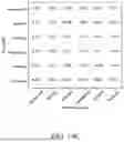Fig. 16 - METHOD OF PREDICTING ROAD ATTRIBUTERS, DATA PROCESSING SYSTEM AND COMPUTER EXECUTABLE CODE