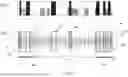 Fig. 07 - SYSTEMS AND METHODS FOR IDENTIFYING SEGMENTS OF MUSIC HAVING CHARACTERISTICS SUITABLE FOR INDUCING AUTONOMIC PHYSIOLOGICAL RESPONSES