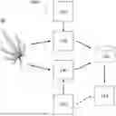Fig. 01 - METHODS AND COMPOSITIONS FOR GENOTYPING AND PHENOTYPING CANNABIS